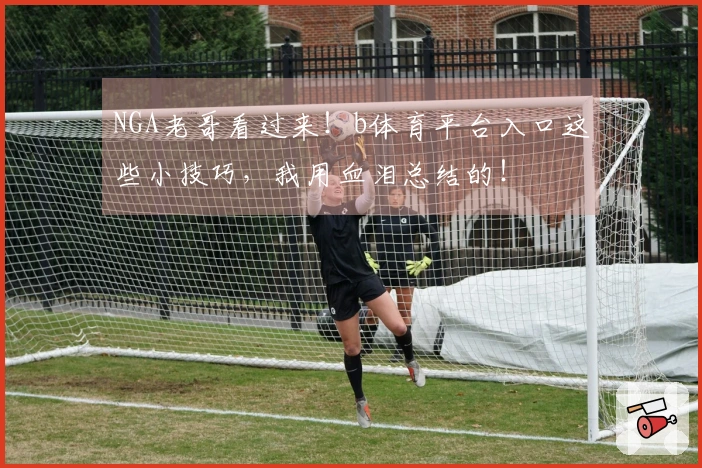 NGA老哥看过来！b体育平台入口这些小技巧，我用血泪总结的！