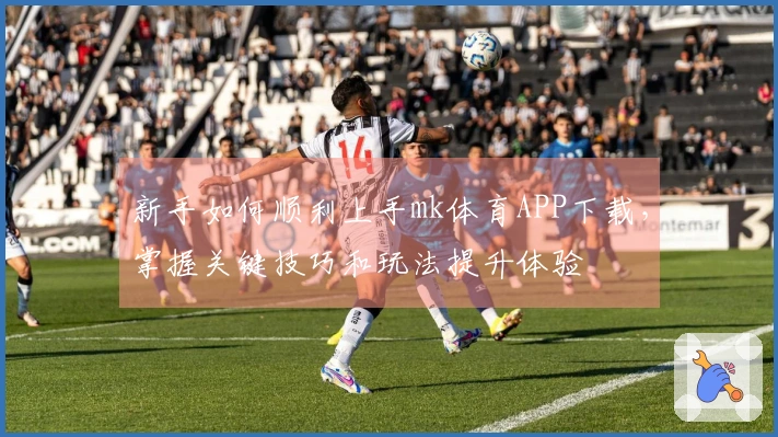 新手如何顺利上手mk体育APP下载，掌握关键技巧和玩法提升体验