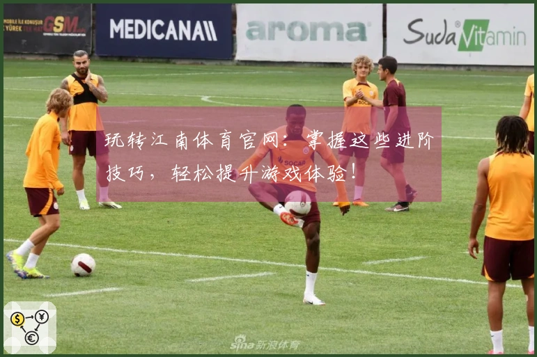 玩转江南体育官网：掌握这些进阶技巧，轻松提升游戏体验！