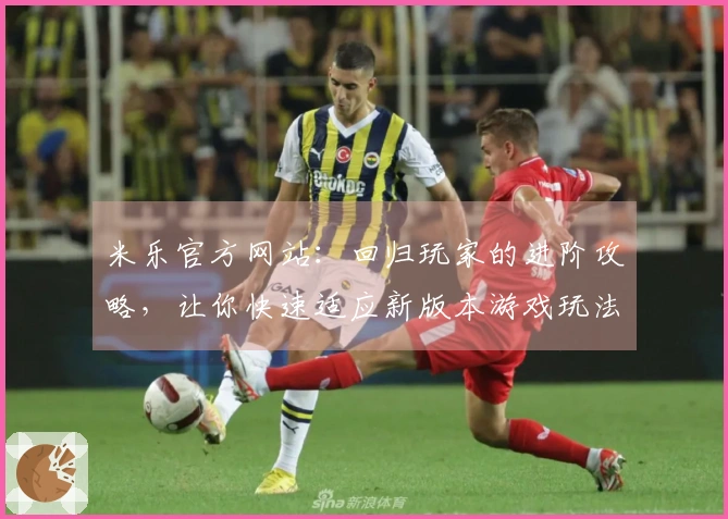 米乐官方网站：回归玩家的进阶攻略，让你快速适应新版本游戏玩法