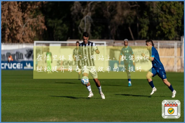 在悟空体育官方网站上，教你如何轻松提升角色养成效率的小技巧